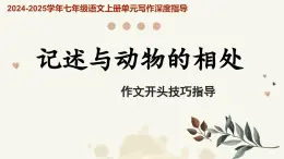 專題17 記述與動物的相處 作文開頭技巧-2024-2025學(xué)年七年級語文上冊單元寫作深度指導(dǎo)（統(tǒng)編版2024·五四學(xué)制）學(xué)案課件PPT