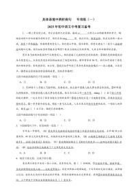 2025年語文中考復(fù)習(xí)備考專項練 辨析病句（二）