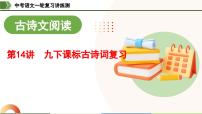 中考語(yǔ)文一輪復(fù)習(xí)講練測(cè)課件 第14講 九下課標(biāo)古詩(shī)詞復(fù)習(xí)（含解析）