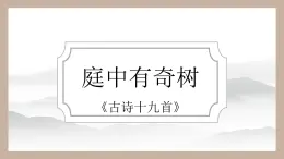 第三單元課外古詩詞誦讀 庭中有奇樹（教學課件）-初中語文統(tǒng)編版（2024）八年級上冊