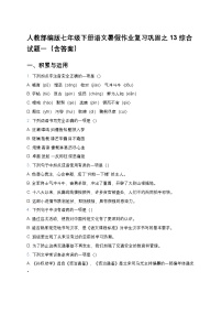 人教部編版七年級下冊語文暑假作業(yè)復習鞏固之13綜合試題一