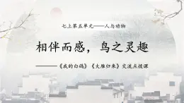 統(tǒng)編版（部編版）（2024）七年級語文上冊18《我的白鴿》《大雁歸來》交流點(diǎn)撥課 課件