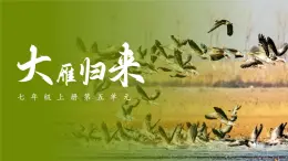 統(tǒng)編版（部編版）（2024）七年級語文上冊19《大雁歸來》課件