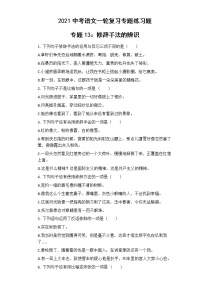 中考語文  專題13：修辭手法的辨識 專項練習(xí)卷（含答案）