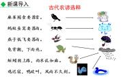 初中语文第二单元5 大自然的语言图文课件ppt