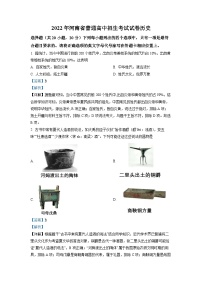 2022年河南省中考?xì)v史真題（解析版）