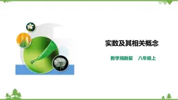 湘教版数学八年级上册  3.3.1实数及其相关概念（课件+教案+练习）