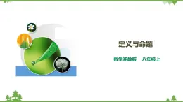 湘教版数学八年级上册  2.2.1定义与命题（课件+教案+练习）