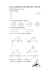 初中数学北师大版七年级下册1 认识三角形优秀随堂练习题