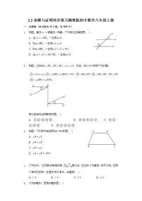 初中数学湘教版八年级上册2.2 命题与证明同步训练题