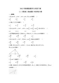 浙教版九年级下册1.1 锐角三角函数习题