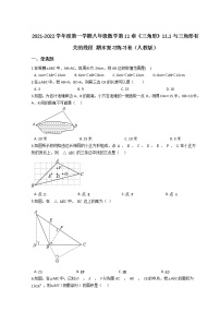 2021-2022學(xué)年度第一學(xué)期八年級(jí)數(shù)學(xué)第11章《三角形》11.1與三角形有關(guān)的線段 期末復(fù)習(xí)練習(xí)卷(人教版)