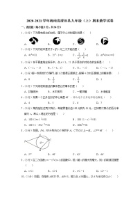 2020-2021学年海南省澄迈县九年级（上）期末数学试卷