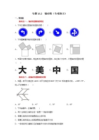 專題13.2 軸對(duì)稱(專項(xiàng)練習(xí))-2021-2022學(xué)年八年級(jí)數(shù)學(xué)上冊(cè)基礎(chǔ)知識(shí)專項(xiàng)講練(人教版)