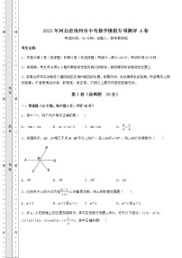 【历年真题】2022年河北省沧州市中考数学模拟专项测评 A卷（含答案详解）