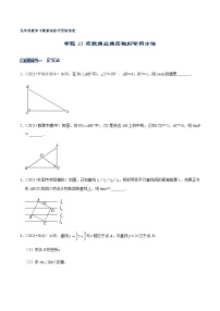 专题12 求锐角三角函数的常用方法-2021-2022学年九年级数学下册解法技巧思维培优（人教版）