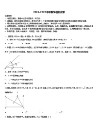 2021-2022學(xué)年廣東省深圳市南山區(qū)實(shí)驗(yàn)教育集團(tuán)重點(diǎn)中學(xué)中考押題數(shù)學(xué)預(yù)測(cè)卷含解析