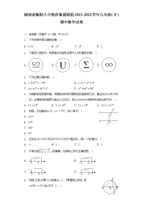 湖南省衡阳八中教育集团联校2021-2022学年九年级（下）期中数学试卷（含解析）