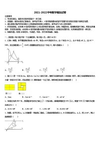 2022年四川省成都市双流黄甲中学中考一模数学试题含解析