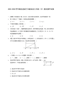 2021-2022学年湖北省咸宁市嘉鱼县八年级（下）期末数学试卷（Word解析版）