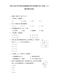 四川省成都市青羊区树德中学2022-2023学年八年级上学期期中数学试卷(含答案)