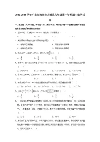 广东省梅州市大埔县2022-2023学年九年级上学期期中数学试卷(含答案)