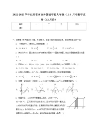 2022-2023学年江苏省南京外国语学校九年级（上）月考数学试卷（12月份）(解析版)