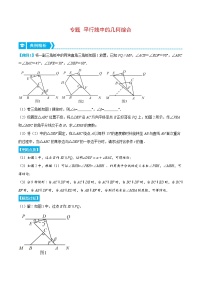 【中考复习】苏科版初三数学 平行线中的几何综合（压轴题专项讲练）