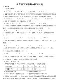 广东省深圳市2023年七年级下学期期中数学试题【含答案】