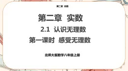 北師大版數(shù)學(xué)八上·2.1 認(rèn)識(shí)無理數(shù)（第1課時(shí)）（課件+教案+學(xué)案+練習(xí)）