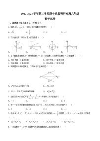 河南省洛阳市伊川县2022-2023学年八年级下学期期中数学试题(含答案)