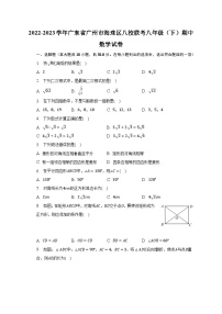 2022-2023学年广东省广州市海珠区八校联考八年级（下）期中数学试卷(含解析）
