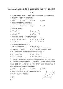 2022-2023学年湖北省武汉市东湖高新区八年级（下）期中数学试卷（含解析）