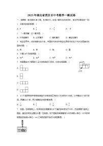 2023年湖北省武汉市中考数学一模试卷（含解析）