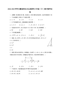 2022-2023学年安徽省淮北市五校联考八年级（下）期中数学试卷（含解析）