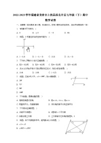 2022-2023学年福建省龙岩市上杭县西北片区七年级（下）期中数学试卷（含解析）
