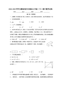 2022-2023学年安徽省宿州市泗县九年级（下）期中数学试卷（含解析）