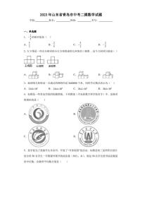 2023年山東省青島市中考二摸數(shù)學(xué)試題（含答案解析）