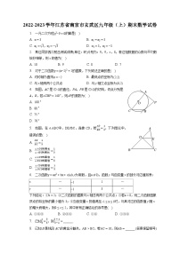 2022-2023学年江苏省南京市玄武区九年级（上）期末数学试卷（含解析）