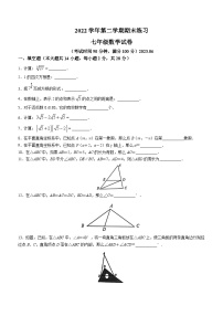 上海市松江区2022—2023学年七年级下学期期末数学试题(无答案)