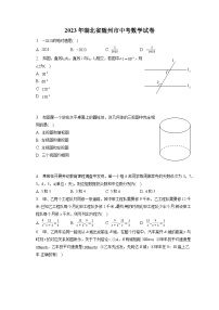 2023年湖北省隨州市中考數(shù)學(xué)試卷(含答案解析)