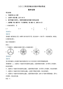 2023年黑龙江省齐齐哈尔市中考数学真题（含解析）