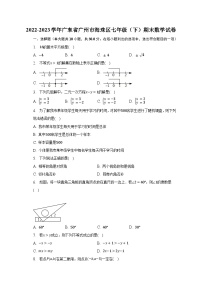 2022-2023学年广东省广州市海珠区七年级（下）期末数学试卷（含解析）