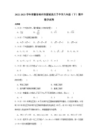 安徽省亳州市蒙城县庄子中学2022-2023学年八年级下学期期中数学试卷（含答案）