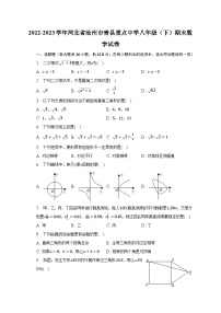 2022-2023学年河北省沧州市青县重点中学八年级（下）期末数学试卷（含解析）