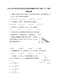 2022-2023学年四川省达州市宣汉县南坝中学八年级（下）期末数学试卷（含解析）