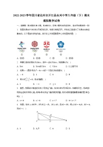 四川省达州市开江县永兴中学2022-2023学年八年级下学期期末模拟数学试卷（含答案）