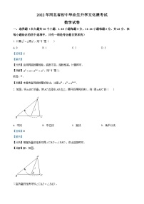 2022年河北省中考數(shù)學(xué)真題 （解析版）