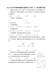 2022-2023学年湖南省衡阳市衡东县八年级（上）期末数学试卷（含解析）