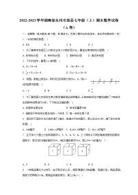 2022-2023学年湖南省永州市道县七年级（上）期末数学试卷（A卷）（含解析）